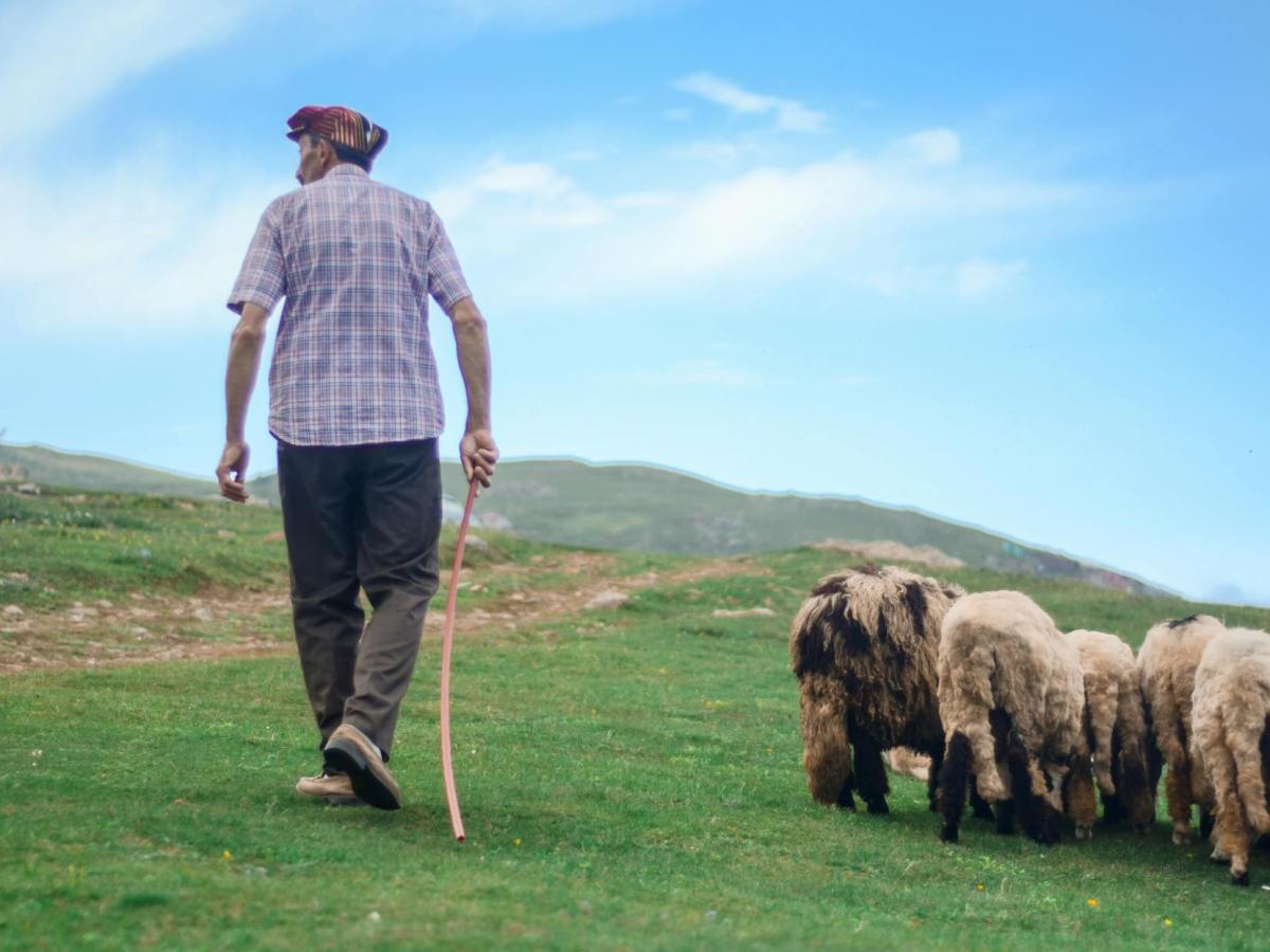 Psaume 23 : Un berger&nbsp;personnel